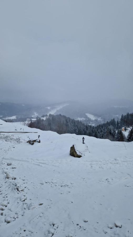 Rezydencja Nad Potoczkiem Висла Екстериор снимка